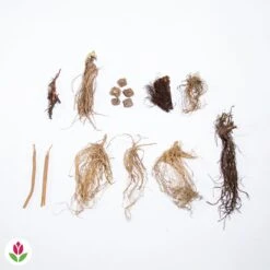 Collection De 15 Plantes Vivaces - 2 M² -Promos Arbozine Boutique 020522 wil qlz 103905 1 1703062495191