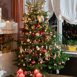 Sapin De Noël Naturel Nordmann 125/ 150 Cm Livré Avec Sa Bûche 8 Sapin De Noël Naturel Nordmann 125/ 150 Cm Livré Avec Sa Bûche -Promos Arbozine Boutique ado 100707 3