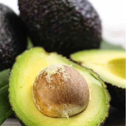 Avocatier 'Hass' 4 Avocatier 'Hass' – Image 2