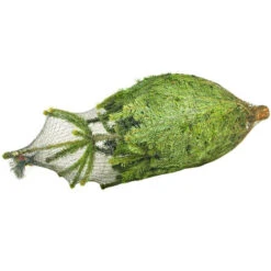 Sapin De Noël Naturel Nordmann 125/ 150 Cm Livré Avec Sa Bûche 9 Sapin De Noël Naturel Nordmann 125/ 150 Cm Livré Avec Sa Bûche -Promos Arbozine Boutique sap 100707 4